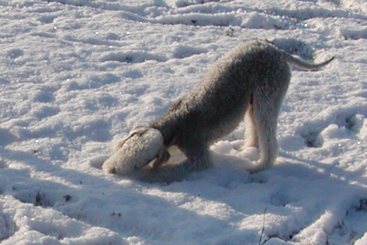 2009-12-19 Quincy (6).JPG